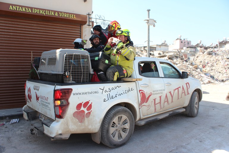 The Haytap animal rescue truck in Antakya